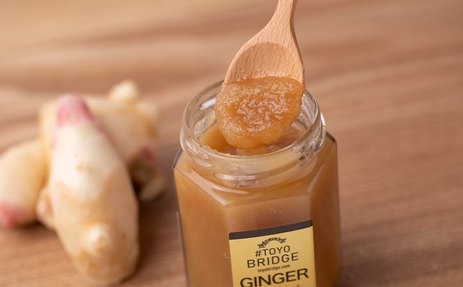 東陽町の生姜100％ 生姜ジャム3本セット 合計480ml (160ml×3本) しょうが ショウガ 温活 冷え対策 朝ごはん おやつ 熊本県 八代市