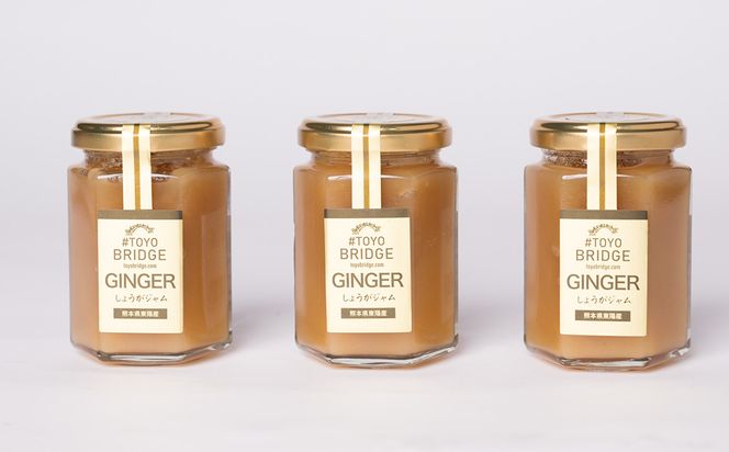 東陽町の生姜100％ 生姜ジャム3本セット 合計480ml (160ml×3本) しょうが ショウガ 温活 冷え対策 朝ごはん おやつ 熊本県 八代市