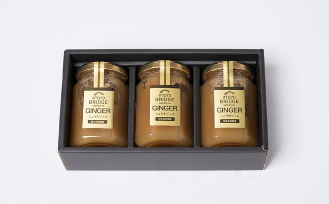 東陽町の生姜100％ 生姜ジャム3本セット 合計480ml (160ml×3本) しょうが ショウガ 温活 冷え対策 朝ごはん おやつ 熊本県 八代市