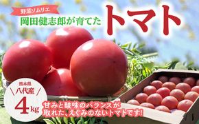 【先行予約】 野菜ソムリエ 岡田健志郎が育てた トマト 4kg トマト とまと 新鮮 サラダ 野菜 やさい 特産品 熊本県 八代市 【2026年12月上旬より順次発送】