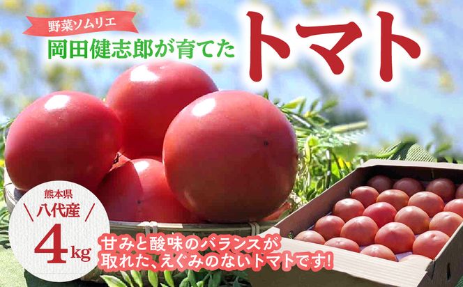 【先行予約】 野菜ソムリエ 岡田健志郎が育てた トマト 4kg トマト とまと 新鮮 サラダ 野菜 やさい 特産品 熊本県 八代市 【2026年12月上旬より順次発送】