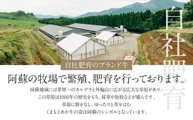 【GI認証】くまもとあか牛クリミステーキ 150g×3枚 牛肉 あか牛 ステーキ 希少部位