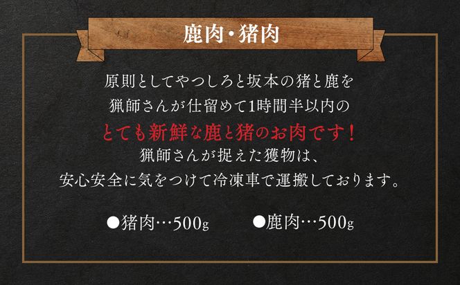 自然のめぐみ 猪肉 500g 鹿肉 500g 合計1kg ジビエ