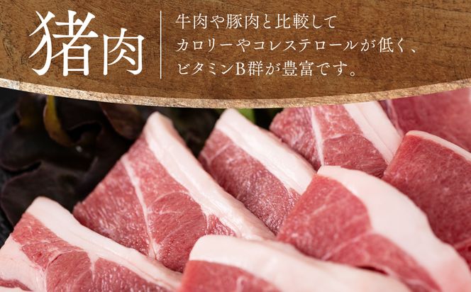 自然のめぐみ 猪肉 500g 鹿肉 500g 合計1kg ジビエ