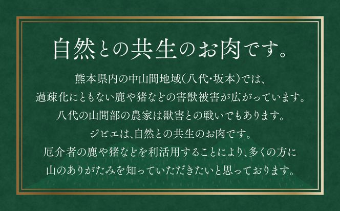 プレミアム 猪肉切り落とし モモ・バラ 合計800g