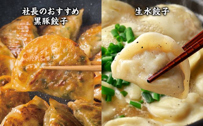 【2025年1月発送】八代市東陽町の生姜を使った 餃子の王国 餃子 8種詰合せ 生餃子