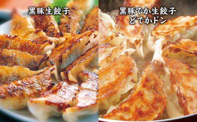 【2025年1月発送】八代市東陽町の生姜を使った 餃子の王国 餃子 8種詰合せ 生餃子