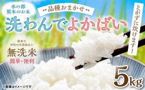 《令和7年産》 洗わんでよかばい 5kg 米 お米 精米 白米 無洗米 ごはん ご飯 おにぎり お弁当 熊本県 八代市