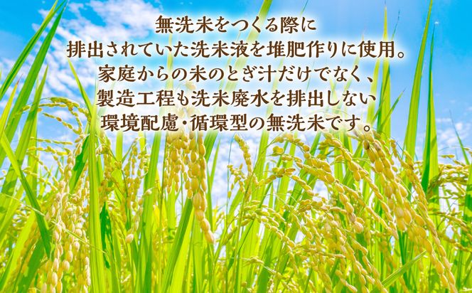 《令和7年産》 洗わんでよかばい 5kg 米 お米 精米 白米 無洗米 ごはん ご飯 おにぎり お弁当 熊本県 八代市