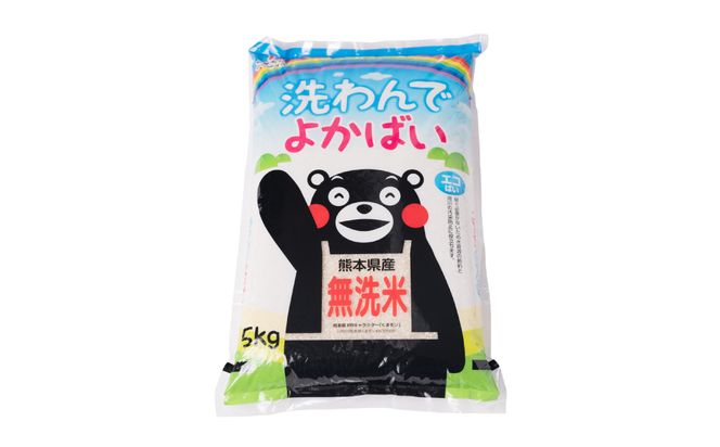 《令和7年産》 洗わんでよかばい 5kg 米 お米 精米 白米 無洗米 ごはん ご飯 おにぎり お弁当 熊本県 八代市