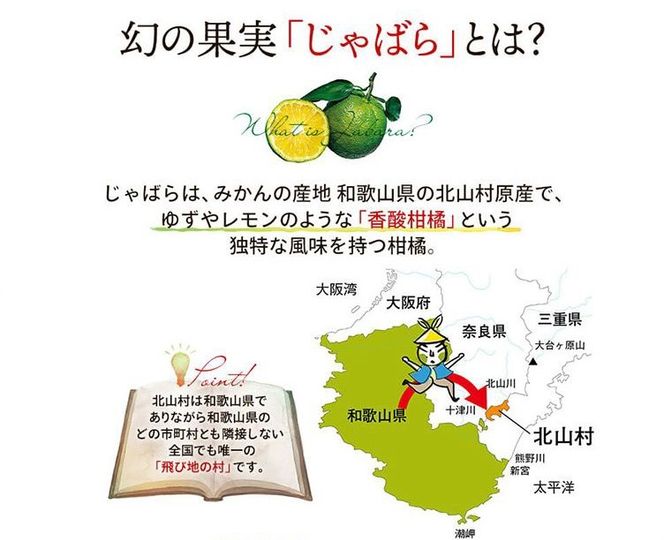 じゃばらっ粉（じゃばらっこ）40g×3個（リニューアル版）