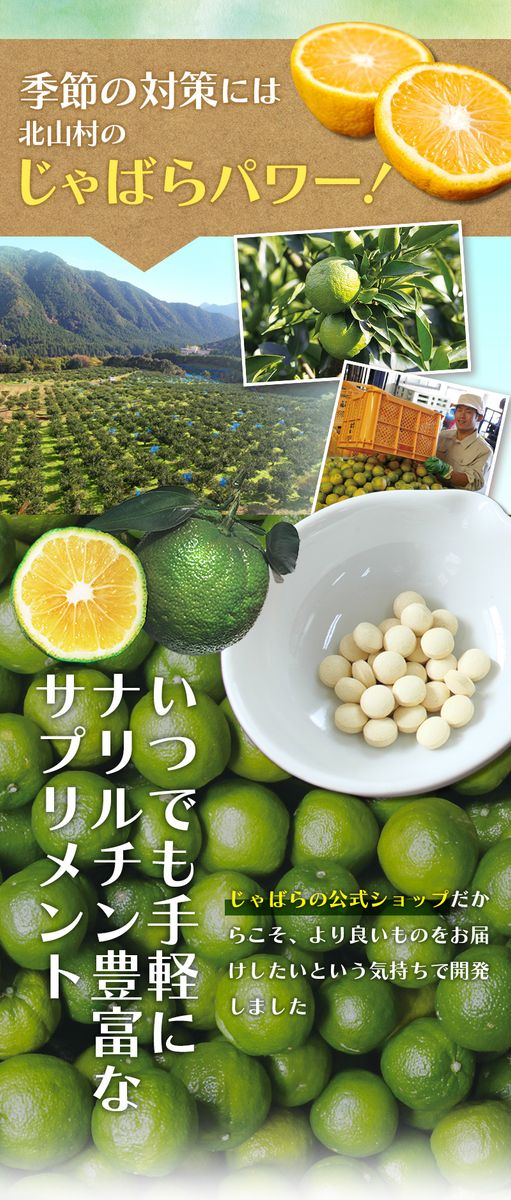 じゃばらサプリ 93粒（31日分） / サプリメント じゃばら ジャバラ 邪払 ナリルチン 無添加 果皮 果皮粉末 果皮入り【njb648】