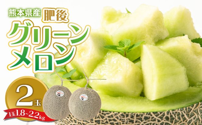 【先行予約】 熊本県産 肥後グリーンメロン 2玉 (1玉1.8kg～2.2kg) メロン 果物 フルーツ 【2025年6月上旬より順次発送】