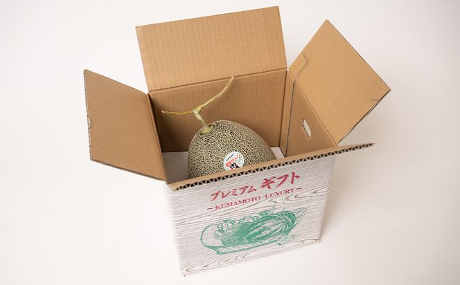 【先行予約】 熊本県八代市産 肥後グリーンメロン 特大1玉 (2.2kg以上) メロン めろん 果物 くだもの フルーツ デザート 旬 青肉 ジューシー 甘い 【2026年6月中旬より順次発送】