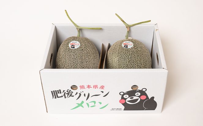 【先行予約】 熊本県産 肥後グリーンメロン 2玉 (1玉1.8kg～2.2kg) メロン 果物 フルーツ 【2025年6月上旬より順次発送】