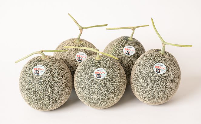 【先行予約】 熊本県八代市産 肥後グリーンメロン 約7kg (1玉1.6kg～2kg) メロン めろん 果物 くだもの フルーツ デザート 旬 青肉 ジューシー 甘い 【2026年6月中旬より順次発送】