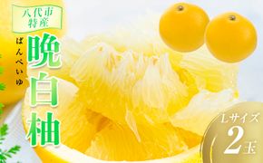 数量限定 八代市特産 晩白柚 Lサイズ 2玉 ばんぺいゆ 柑橘 フルーツ くだもの 旬 熊本県産 九州