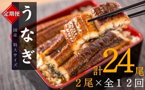 【12ヶ月定期便】大型サイズ ふっくら柔らか 国産うなぎ蒲焼き 2尾×12ヶ月連続でお届け 計24尾 約4080g【tkb311】