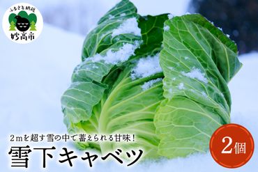 雪下キャベツ【新潟県妙高市】