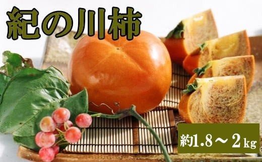 [希少]紀の川柿約1.8〜2kg(種無し)秀選品 ※2025年10月中旬〜2025年11月中旬頃に順次発送[tec405B]