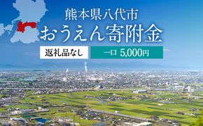 返礼品なし 熊本県八代市 おうえん寄附金(5,000円単位でご寄附いただけます)