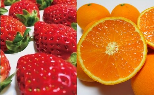 【旬のくだもの定期便】和歌山県の旬のフルーツをお届け！　全6回【Ｓ】（配送日時指定不可）※北海道・沖縄・離島への配送不可 / みかん いちご 清見オレンジ すいか 桃 柿【ard-tkb900A】