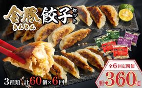 【定期便 偶数月 全6回お届け】金豚餃子セット（香港餃子・しそ餃子・にら餃子　1パック10個入×各2パック）_M166-T002-6