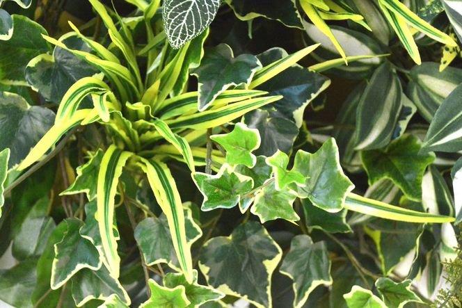 壁掛けアレンジ 2kg（造花）Go-568