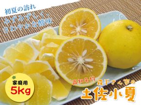 【2026年発送】森下さん家の(家庭用)土佐小夏（約5kg）