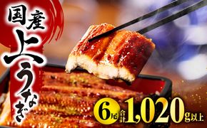 国産うなぎ 蒲焼6尾(計1020g以上) 鰻蒲焼用たれとさんしょうのセット(うなぎ1尾170g以上の鰻6尾からなるウナギの詰め合わせ)_M040-013_01