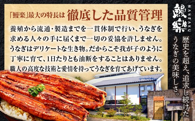 国産うなぎ蒲焼3尾(計480g以上) 鰻蒲焼 ウナギ蒲焼用たれ さんしょうのセット(うなぎ1尾160g以上の鰻3尾からなるウナギの詰め合わせ)_M040-012