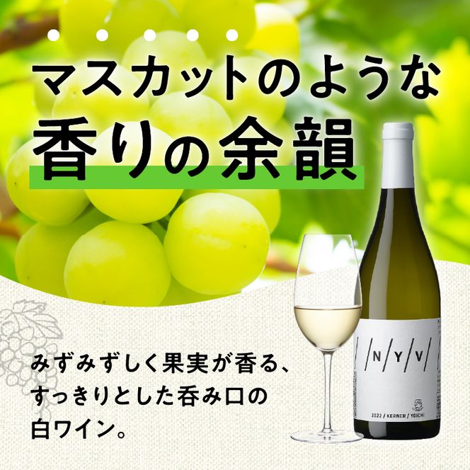 【ふるさと納税】 数量限定 ＆ 北海道限定 N・Y・V （エヌ・ワイ・ブイ） 余市ケルナー 2022 白ワイン 辛口 ニッカ余市ヴィンヤード  ワイン  贈り物  ギフト_Y090-0014