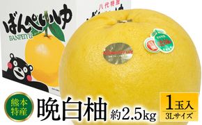 【先行予約】 晩白柚 ばんぺいゆ 3Lサイズ 1玉 約2.5kg 果物 果実 くだもの フルーツ 柑橘 柑橘類 熊本県 八代市 【2026年12月上旬より順次発送】