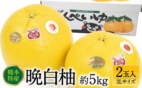 【先行予約】 晩白柚 ばんぺいゆ 3Lサイズ 2玉 約5kg 果物 果実 くだもの フルーツ 柑橘 柑橘類 熊本県 八代市 【2026年12月上旬より順次発送】