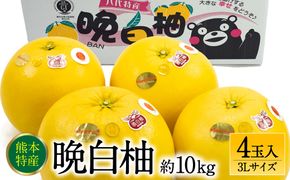 【先行予約】 晩白柚 ばんぺいゆ 3Lサイズ 4玉 約10kg 果物 果実 くだもの フルーツ 柑橘 柑橘類 熊本県 八代市 【2026年12月上旬より順次発送】