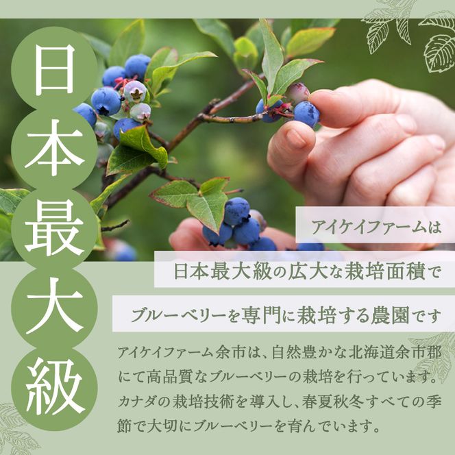 アイケイファーム余市 ブルーベリーコンポート  ブルーベリー コンポート_Y111-0001パン ヨーグルト トッピング 酸味 甘み やさしい香り フルーツ 果物 瓶詰 お取り寄せ プレゼント 