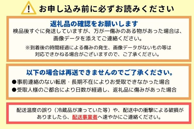 越知産市の季節の野菜セット(年1回発送)　産地直送　旬野菜