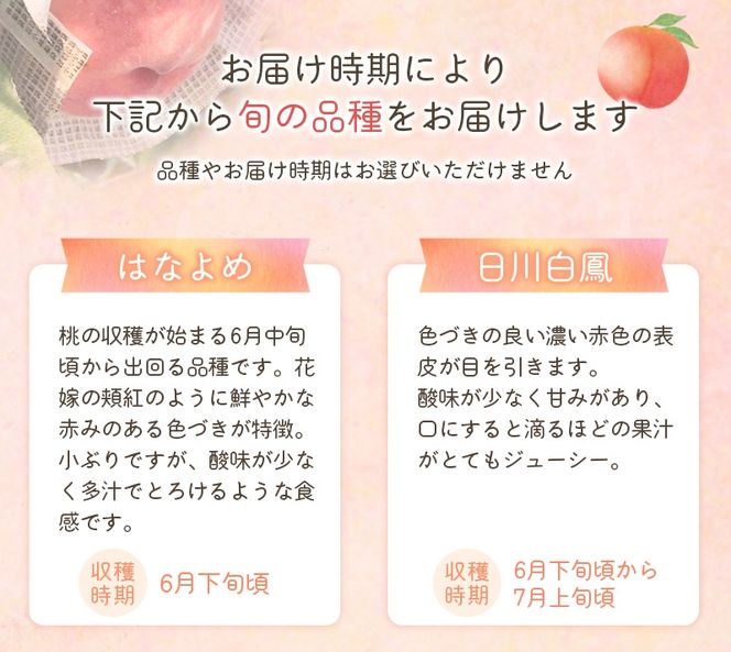 【先行予約】和歌山県産の美味しい桃 約2kg （6～9玉入り）【2024年6月中旬頃～8月中旬頃順次発送予定】 和歌山 もも モモ 桃 ギフト 贈り物 プレゼント 夏 果物 フルーツ【mat101A】