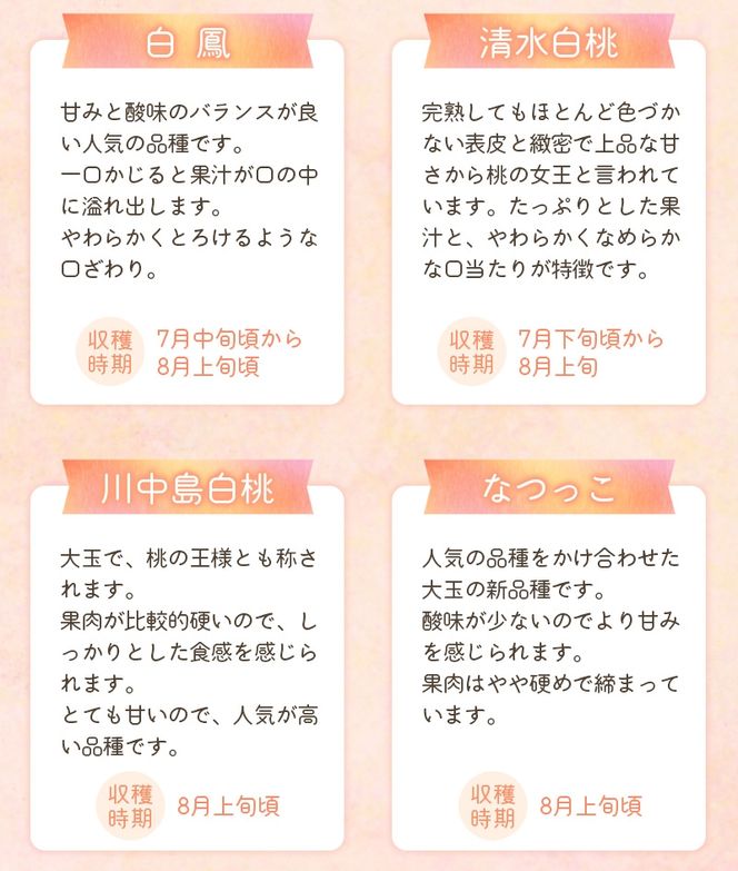 【先行予約受付】和歌山県産 の 美味しい 桃 （11～15玉入り）【2026年6月中旬頃から8月上旬頃順次発送予定】 和歌山 もも モモ 桃 ギフト 贈り物 プレゼント 夏ギフト 果物 フルーツ 人気 産地直送 和歌山県 お取り寄せ【mat100C】