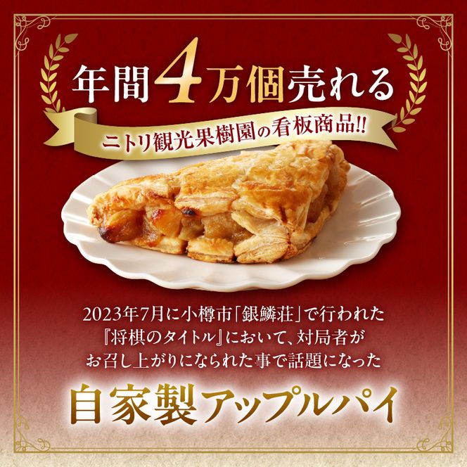 アップルパイ様 リクエスト 10点 まとめ商品 アップルパイ様 リクエスト 10点 まとめ商品