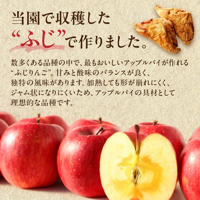 ニトリ果樹園 自家製 アップルパイ 10個_Y074-0092（北海道余市