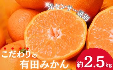 【2024年11月発送予約分】＼光センサー選別／農家直送 こだわりの有田みかん 約2.5kg＋75g(傷み補償分) 【ご家庭用】【11月発送】※北海道・沖縄・離島配送不可【nuk159-1A】