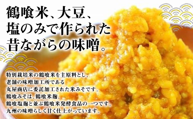 鶴喰みそ 1kg (1kg×1袋 合計1kg) 熊本県 八代市産 つるばみ 味噌 米味噌 米みそ