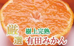 厳選　完熟有田みかん2kg+60g（傷み補償分）【光センサー選別】＜11月上旬より順次発送予定＞【ikd005B】