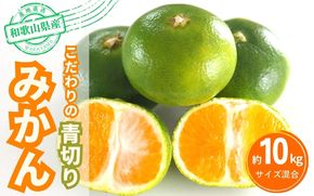 【2025年秋頃発送予約分】【農家直送】こだわりの青切りみかん 約10kg  有機質肥料100%　 サイズ混合　※2025年9月下旬より順次発送予定（お届け日指定不可）【nuk108C】