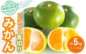 【2025年秋頃発送予約分】こだわりの青切りみかん　約5kg  有機質肥料100%　 サイズ混合　※2025年9月下旬より順次発送予定（お届け日指定不可）【nuk150B】