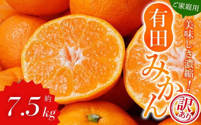 [訳あり]農家直送 有田みかん 約7.5kg ご家庭用 サイズ混合 ※2025年11月中旬より順次発送予定(お届け日指定不可)※北海道・沖縄・離島への配送不可 訳ありみかん ミカン[nuk157C]