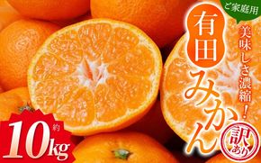 みかん 【訳あり】農家直送 有田みかん 約10kg ご家庭用 サイズ混合 ※2025年11月中旬より順次発送予定（お届け日指定不可）※北海道・沖縄・離島への配送不可 温州みかん【nuk138E】