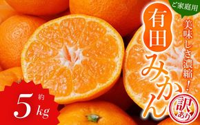 【訳あり】農家直送 有田みかん 約5kg ご家庭用 サイズ混合 ※2025年11月中旬より順次発送予定（お届け日指定不可）※北海道・沖縄・離島への配送不可 訳ありみかん みかん ミカン 蜜柑 柑橘 フルーツ 果物 くだもの 温州みかんサイズ混合 訳ありみかん 温州みかん 有機質肥料100% ふるさと納税 柑橘 有田 産地直送【nuk161D】