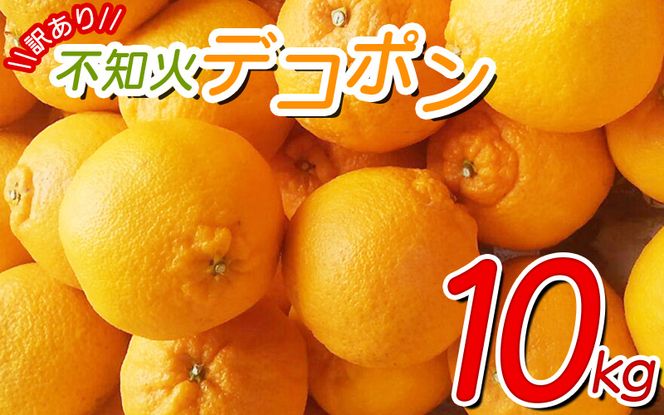 【訳あり】ちょこっと訳あり不知火デコポン 約10kg【ご家庭用】  サイズ混合　※2025年2月中旬より順次発送予定（お届け日指定不可）/ 不知火 デコポン みかん 訳あり ワケアリ【nuk121B】